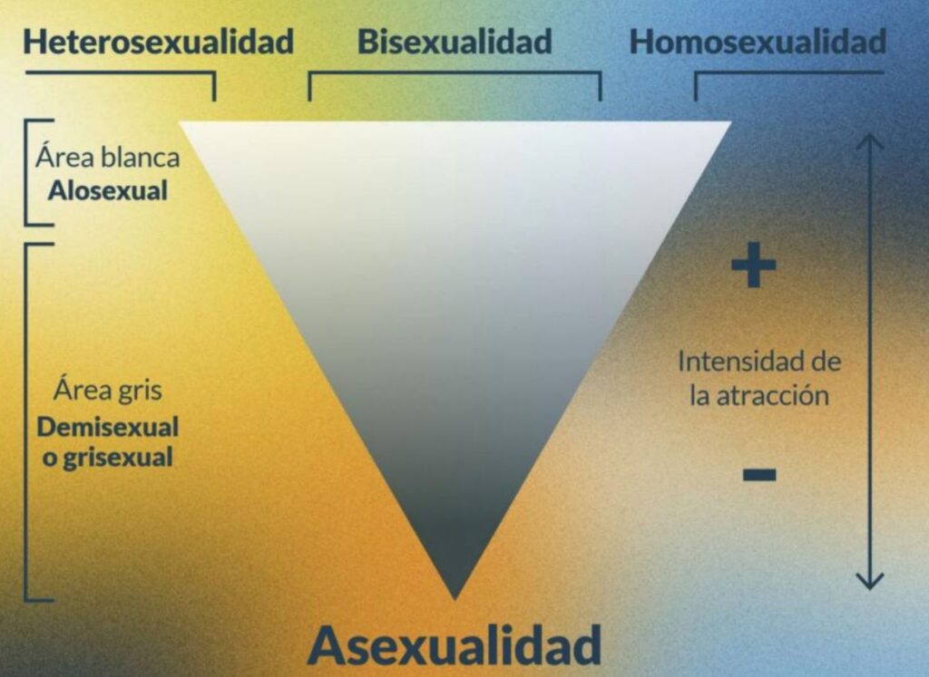 Triángulo Aven espectro asexual asexualidad